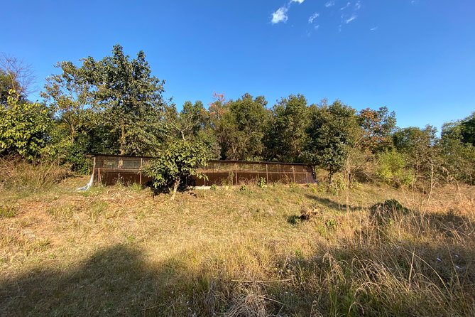 Short Trip to Begnas Lake With Easy Hiking - Easy Hiking Trails Near Begnas Lake