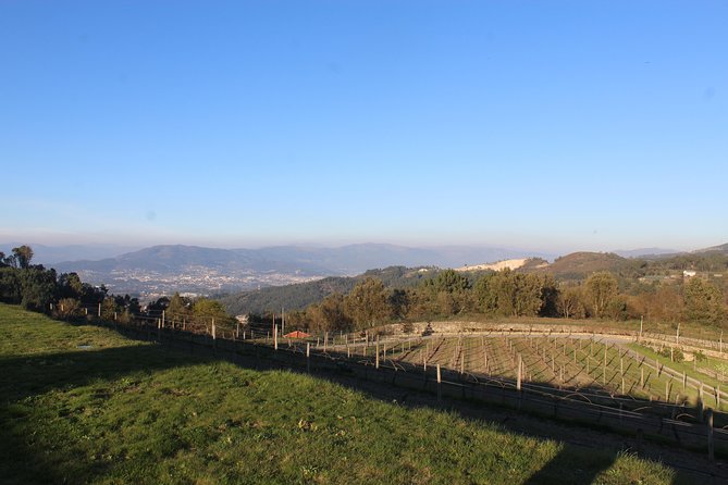 Showcooking on a Biological Farm - Good To Know