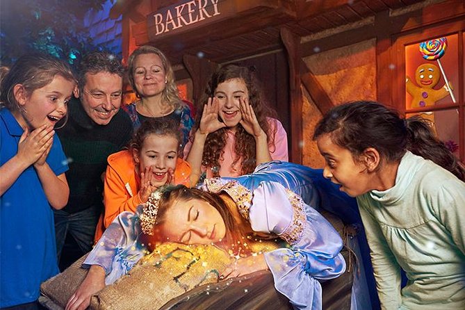 Shreks Adventure! London Entrance Ticket - Additional Information and Policies