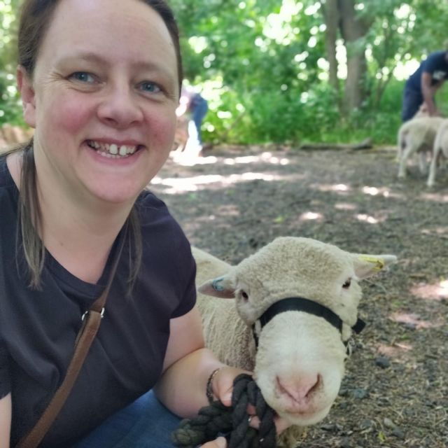 Shropshire: Sheep Trek with the Smallest Sheep in the World - Good To Know