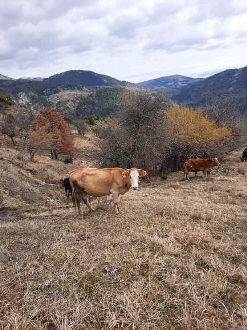 Shtegu i Vakëfëve (Trail of Holly Lands) - A Closer Look at the Shtegu i Vakëfëve Experience