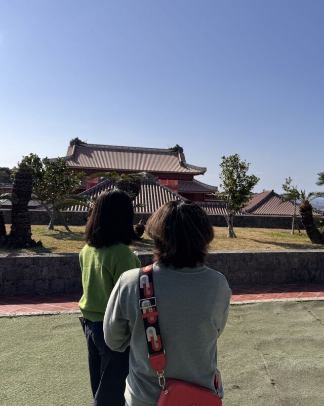 Shuri Castle UNESCO Site Half-Day Walking Tour - Renovation, typhoons, and realistic expectations