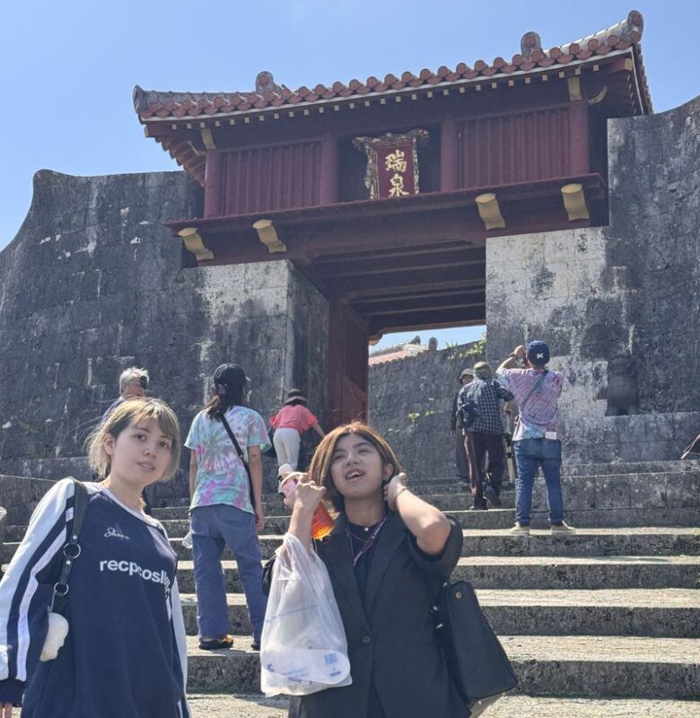 Shuri Castle UNESCO Site Half-Day Walking Tour - Who should book this walk?