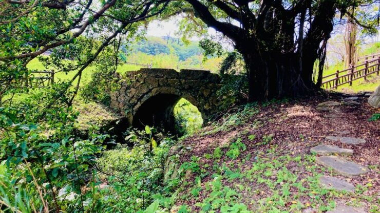 Shuri+Naha: Cycling Tour Explore Water Heritage With E-Bike - Experience Highlights