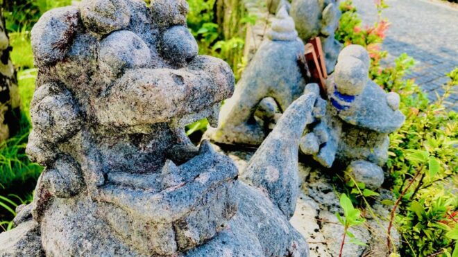 Shuri,Naha:Cycling Tour Exploring Water Heritage With E-Bike - Important Information