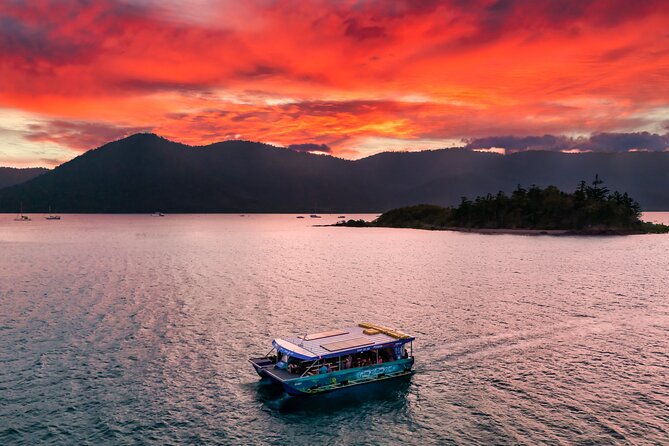 Shute Harbour Scenic Sunset Tour - Service Animal Policy and Public Transportation