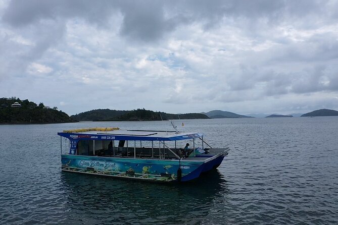 Shute Harbour Scenic Sunset Tour - Viator Help Center and Product Code