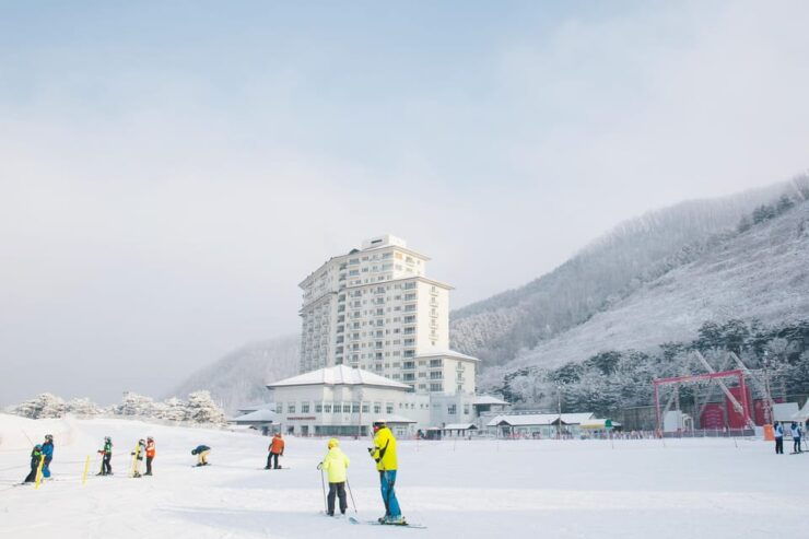 Shuttle Bus to Elysian Ski Resort(Only Transportation) - Reservation Process