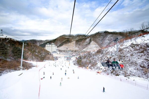 Shuttle Bus to Elysian Ski Resort(Only Transportation) - Amenities and Safety