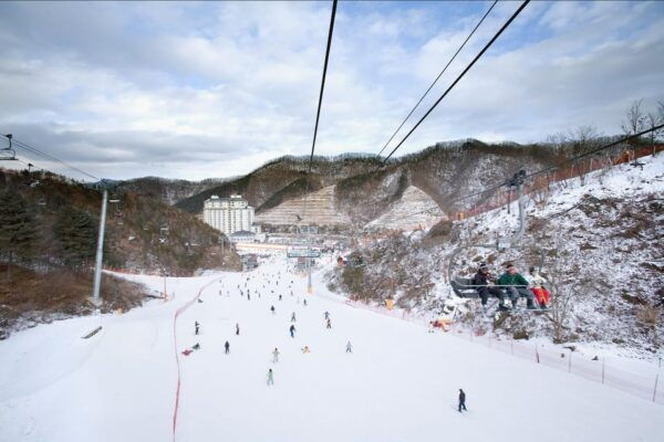 Shuttle Bus to Elysian Ski Resort(Only Transportation) - Questions You May Have