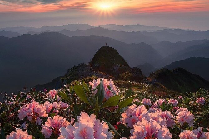 Shuttle Bus to Golden Bridge - Ba Na Hill From Da Nang - Cancellation Policy