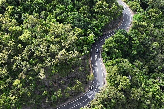 Shuttle Bus Transfer - Kuranda TO Cairns City - Who Will Love This Service?