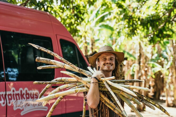 Shuttle From La Fortuna to San Jose - Reviews and Booking Options