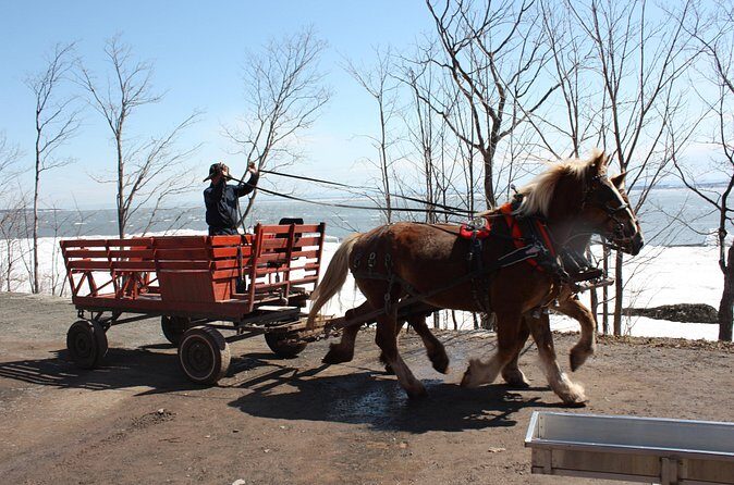 Shuttle from Quebec City to Sugar Shack / Navette Cabane a Sucre - Analyzing the Value: Is It Worth the Price?