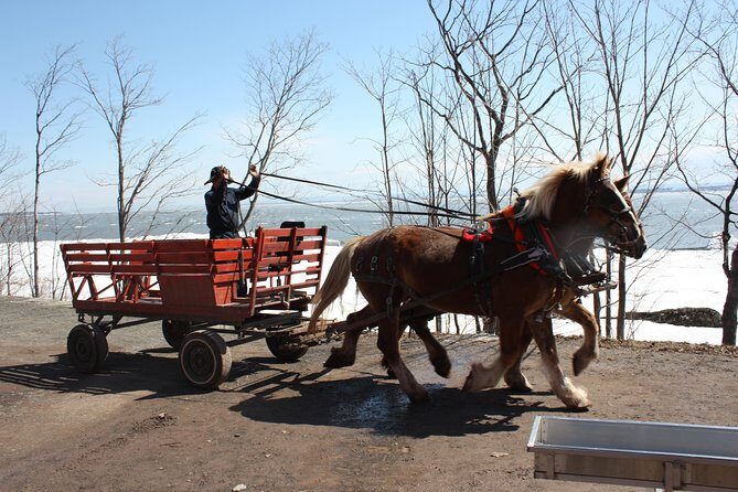 Shuttle from Quebec City to Sugar Shack / Navette Cabane a Sucre - FAQ