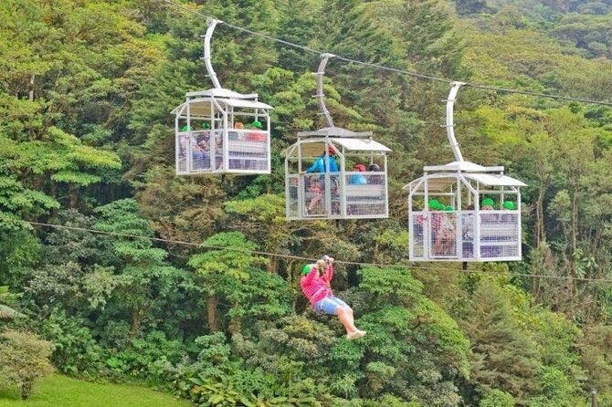 Shuttle From San Jose Airport To Monteverde - Reviews