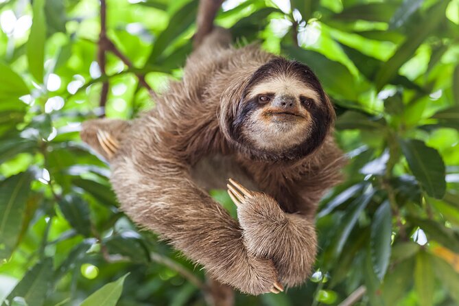 Shuttle From San Jose Airport To Monteverde - Traveler Information