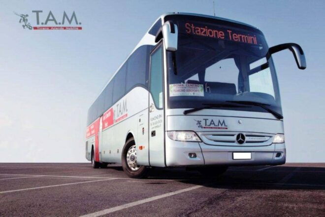Shuttle Service to Easily Travel Between Naples and Assisi - Booking Information and Options