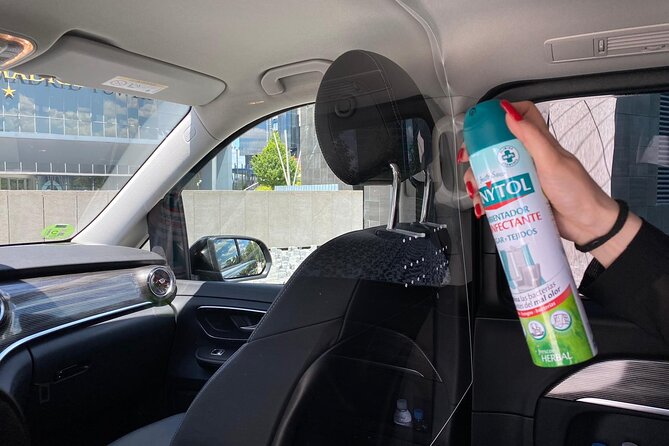 Shuttle Transfer Arrivals: Madrid Airport to City Center - Details and Accessibility