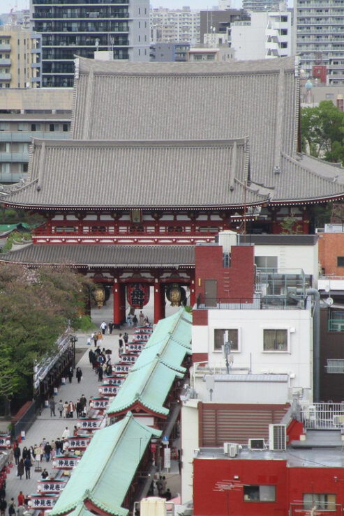 Shuttle Van Tour Tokyo for 4 Hours or 6 Hours - Good To Know