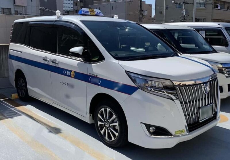 Shuttle Van Tour Tokyo for 4 Hours or 6 Hours+Transfer Time - Detailed Travel Experience