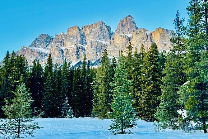 ShuttleBus 2way Banff to Lake Louise (1Hr) and Moraine Lake (1Hr) - Practical Tips for a Great Experience