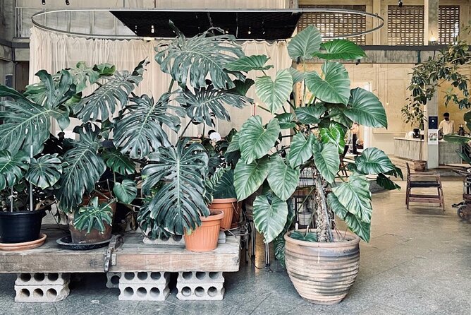 Siamaya Chocolate Workshop & Factory Tour - Booking and Logistics