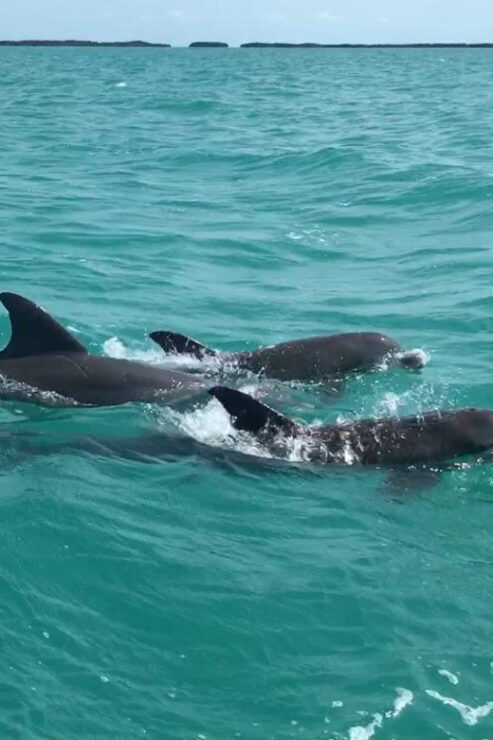 Sian Kaan - Itinerary and Activities