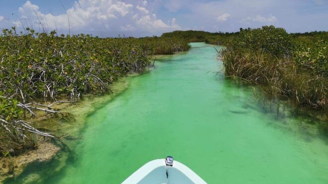 Sian Kaan - Pickup and Transportation