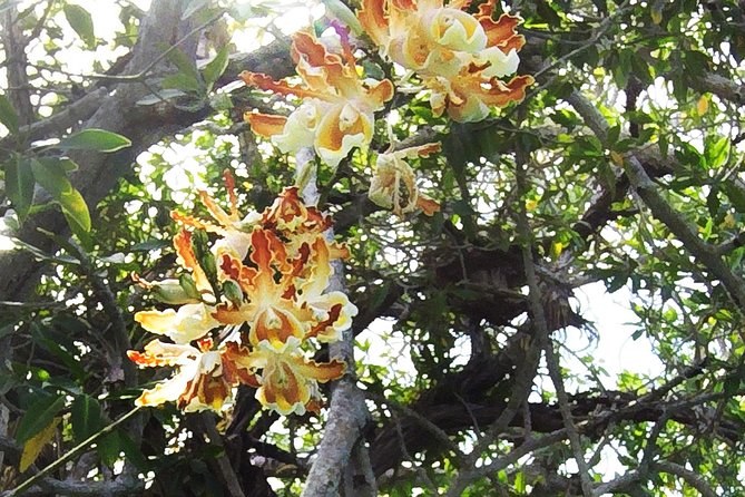 Sian Kaan and Muyil Archaeological Site Tour From Tulum - Sian Kaan Biosphere Reserve
