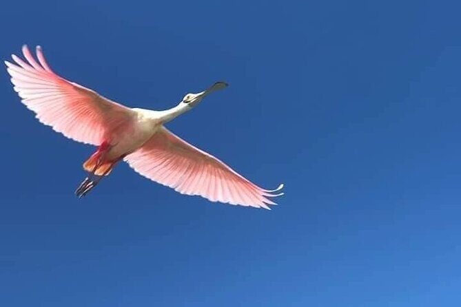 Sian Ka'an Biosphere Full Day Boat Tour with Lunch - Final Thoughts