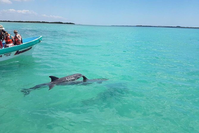 Sian Ka'an Biosphere Full Day Boat Tour with Lunch - FAQs