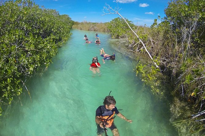 Sian Kaan Biosphere, Muyil Ruins, and Cenote Small-Group Tour  - Tulum - Common Questions