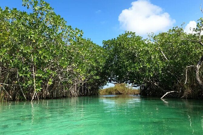 Sian Ka'an Biosphere Reserve Guided Tour - Good To Know