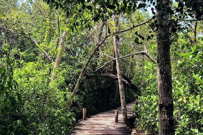 Sian Ka'an Biosphere Reserve Guided Tour - Analyzing the Value