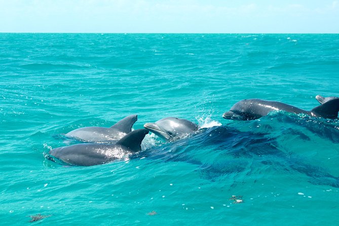 Sian Kaan Biosphere Tour - Traveler Photos and Reviews