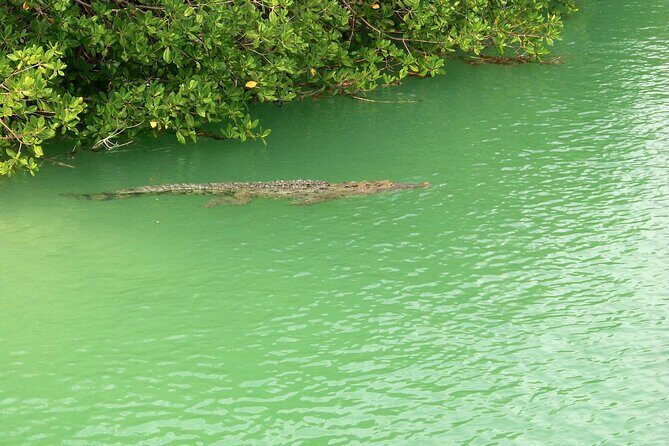 Sian Ka'an Boat Experience from Riviera Maya to Tulum - Snorkeling Along the Barrier Reef