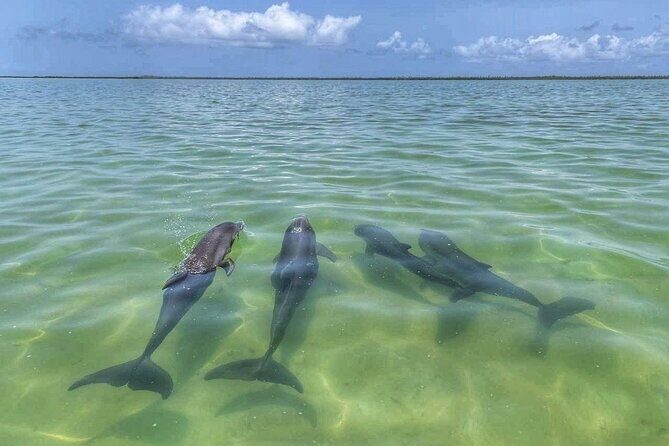 Sian Ka'an Boat Experience from Riviera Maya to Tulum - Relaxing in Natural Pools and Final Highlights