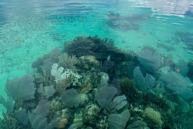 Sian Ka'an Boat Experience from Riviera Maya to Tulum - Who Is This Tour For?