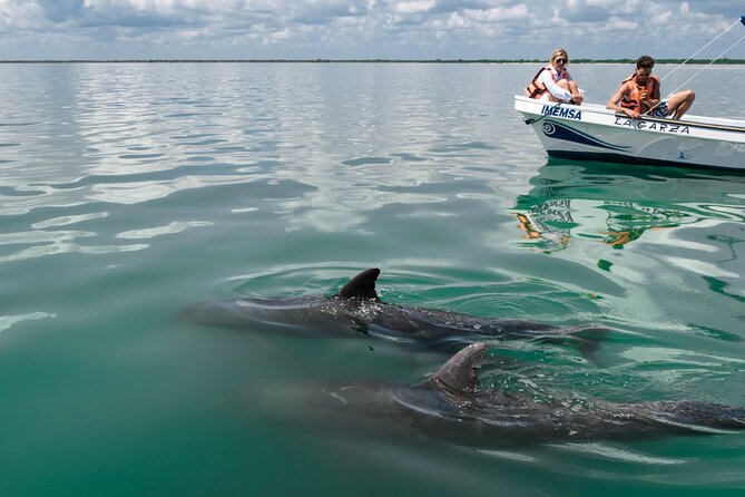 Sian Kaan Boat Tour: Full Day Experience - Roundtrip Transportation Provided