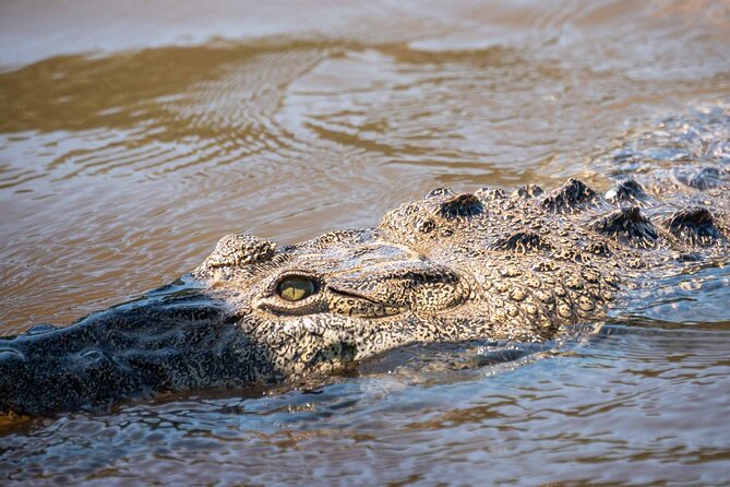 Sian Kaan Boat Tour: Full Day Experience - End Point and Meeting Point Details