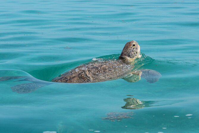 Sian Kaan Boat Tour: Full Day Experience - Traveler Photos and Reviews