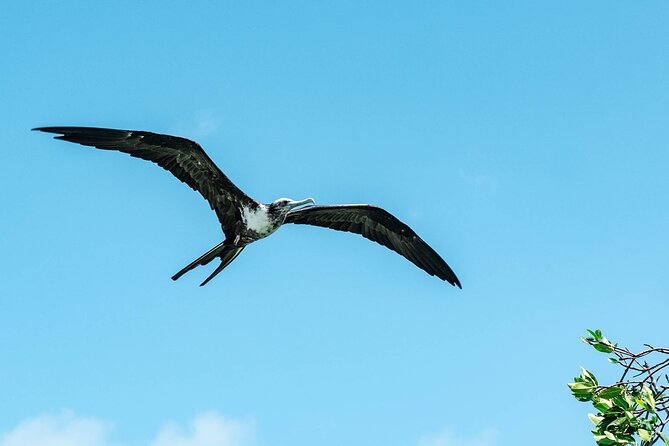 Sian Kaan Boat Tour: Full Day Experience - Common Questions