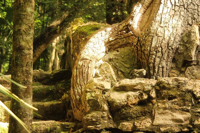 Sian Kaan Canal Floating Experience  - Tulum - Cancellation Policy and Reviews
