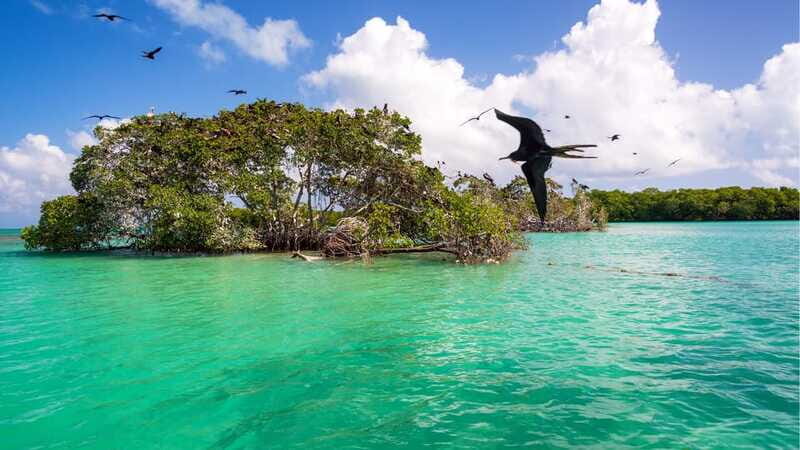 Sian Ka'an Channels and Underground River - Private Tour - Final Thoughts: Who Will Love This Tour?