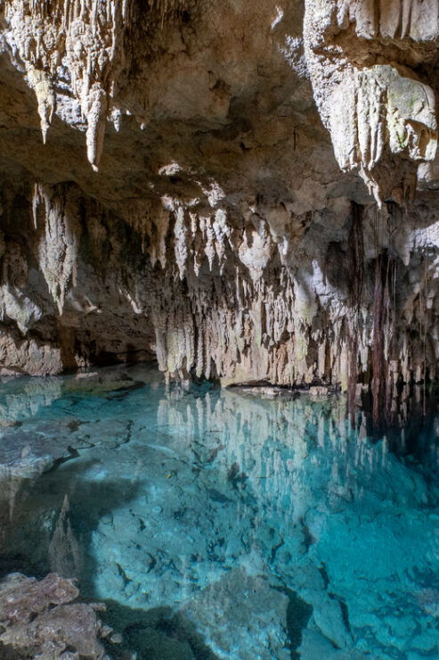 Sian Kaan Channels and Underground River - Private Tour - Good To Know