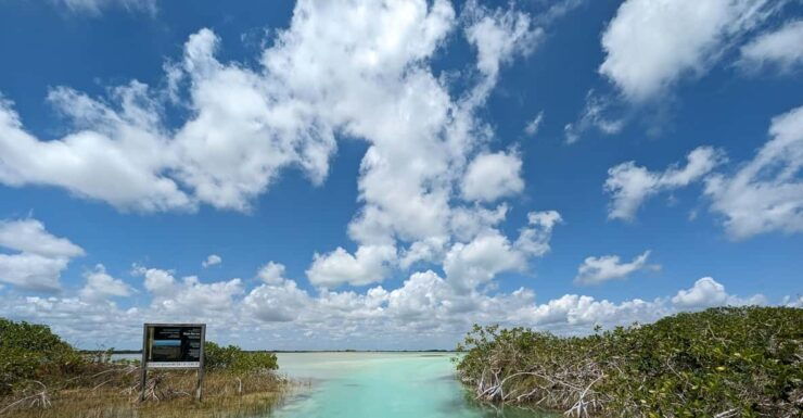 Sian Kaan Channels and Underground River - Private Tour - Itinerary and Experience