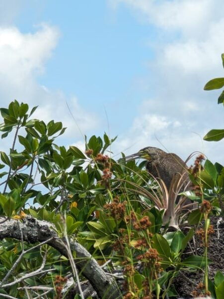 Sian Kaan Channels and Underground River - Private Tour - Cancellation and Refund Policy
