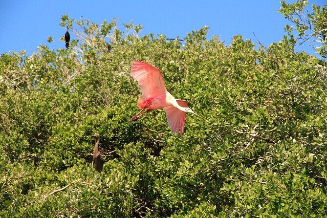 Sian Ka'an Classic - Good To Know