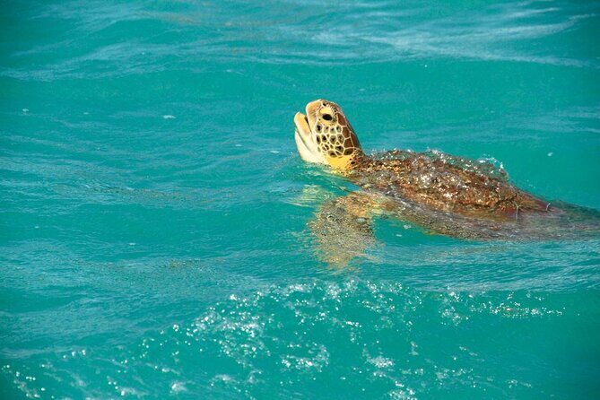 Sian Ka'an Classic - Who Will Love This Tour?